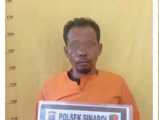 Bakar Lahan untuk Pembukaan Kebun Keladi, Polisi Tangkap Seorang Pria di Rokan Hilir