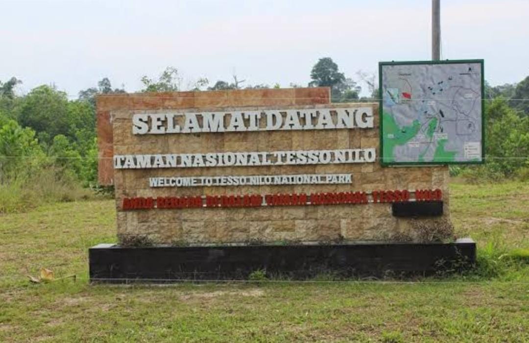 Wow! PT TUN Medan Kuatkan Kemenangan Yayasan Riau Madani Terhadap Menteri LHK cs, Perkara Kebun Sawit 1.200 Hektare di TNTN