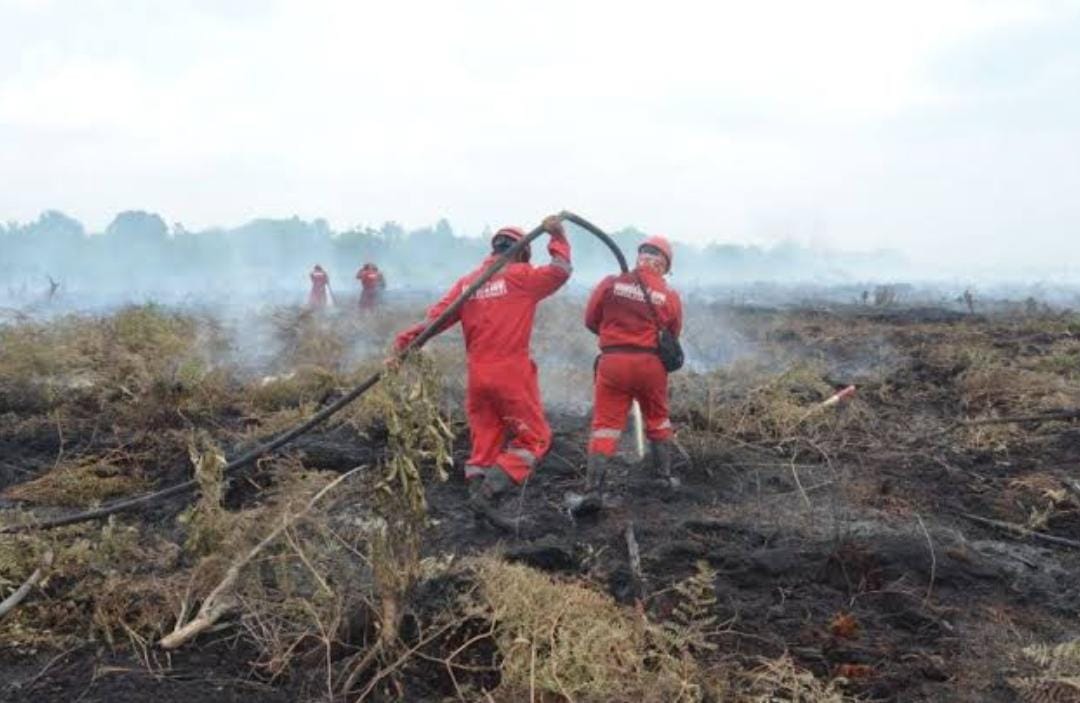 Paling Luas di Bengkalis, Karhutla di Riau Sudah Tembus 131 Hektare