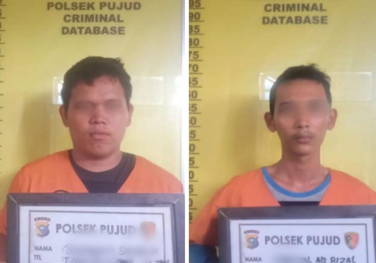 2 Pencuri Kelapa Sawit Milik Curi PTP Nusantara V di Rohil Diserahkan ke Polisi