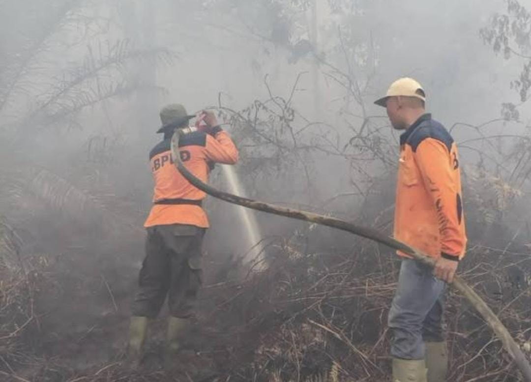DPRD Riau Sebut Pemerintah Gagal Cegah Kebakaran Lahan: Uangnya Jangan Untuk Pemadaman, Tapi Pencegahan!