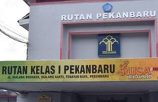 Pengunjung Wanita Selundupkan Sabu ke Rutan Pekanbaru, Diselipkan Dalam Kemasan Minyak Rambut