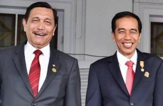 Luhut Lagi! Jokowi Tunjuk LBP Jadi Ketua Pengarah Satgas Tata Kelola Sawit, Ini Tugasnya