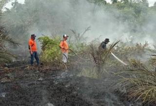 Dumai Dilanda Karhutla, Petugas Lebaran di Semak Belukar Berjibaku Padamkan Api