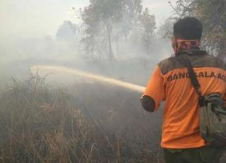 Jarak Pandang di Dumai Sempat 500 Meter, Warga Berlebaran Disesaki Asap Karhutla