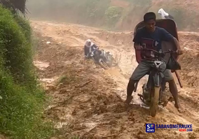 Parah! Jalan Kubangan Lumpur di Rohil: Anak Sekolah Naik Sepeda Motor Terjatuh, Buah Sawit Terpaksa Dibongkar di Jalan