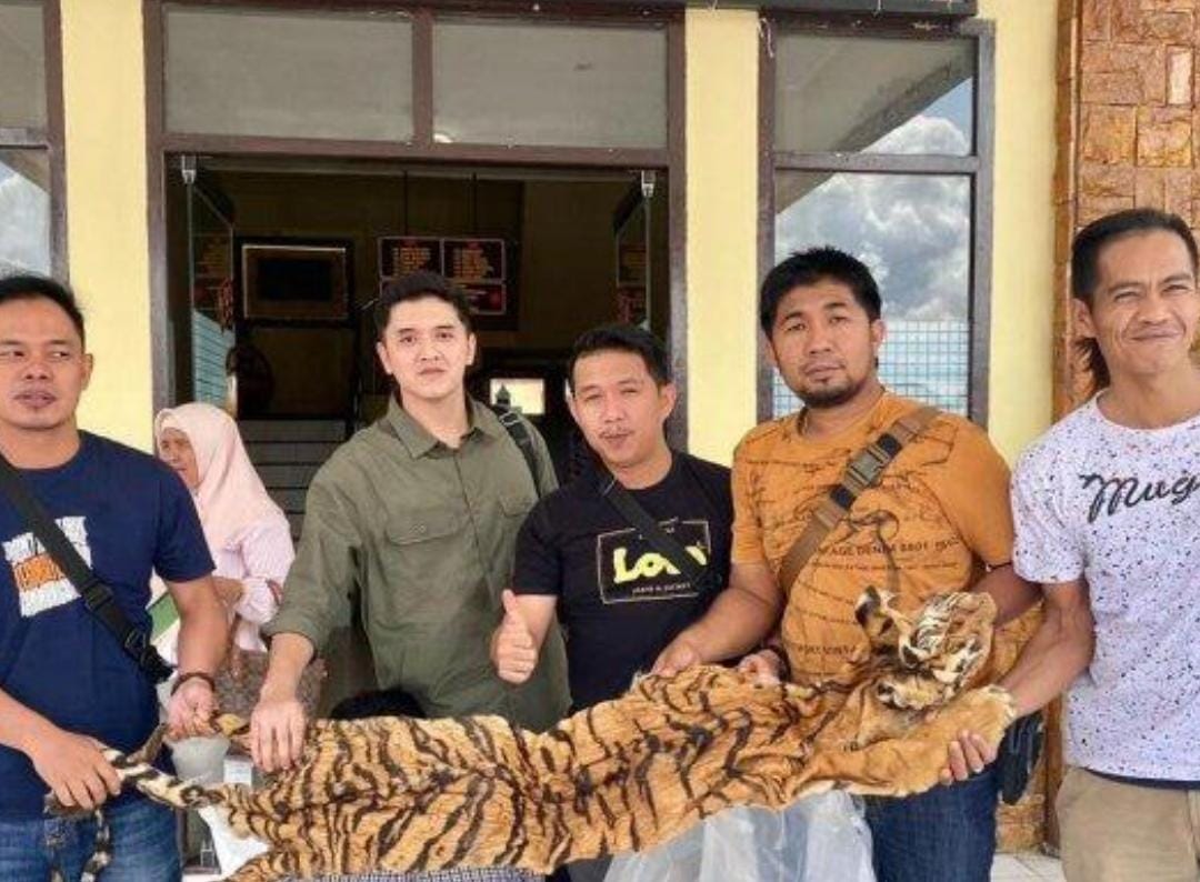 Gawat! Peraih Kalpataru Jadi Tersangka Penjual Kulit Harimau Sumatera, Ini Sosoknya