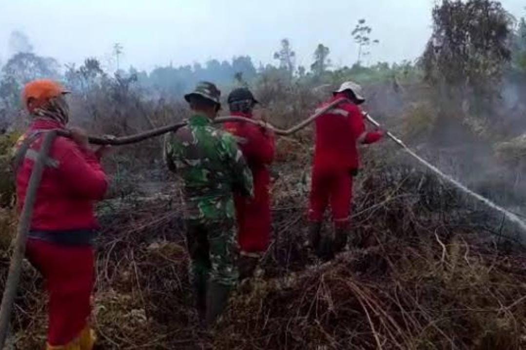 Apes! Niat Bakar Sarang Tawon, Petani di Dumai Ditangkap Polisi Gara-gara Lahan Terbakar