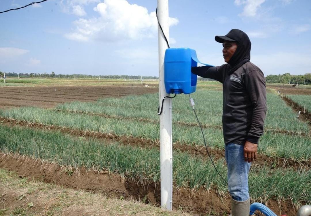 Program Electrifying Agriculture PLN Sukses Tekan Biaya Operasional Petani Bawang Merah Hingga 90 Persen