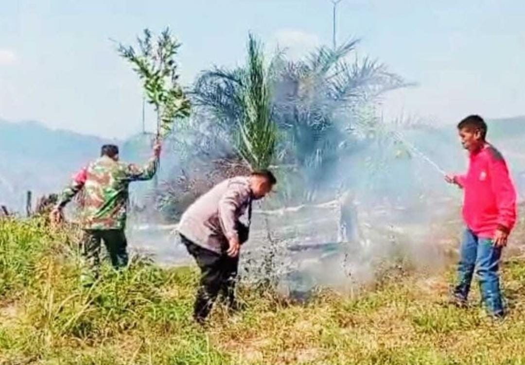 Kebakaran Landa Hutan Lindung Bukit Suligi Riau, Polisi Lakukan Penyelidikan