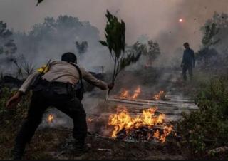 1 Titik Panas Terdeteksi di Kampar, Suhu Tertinggi di Riau Hari Ini Capai 33 Derajat Celcius