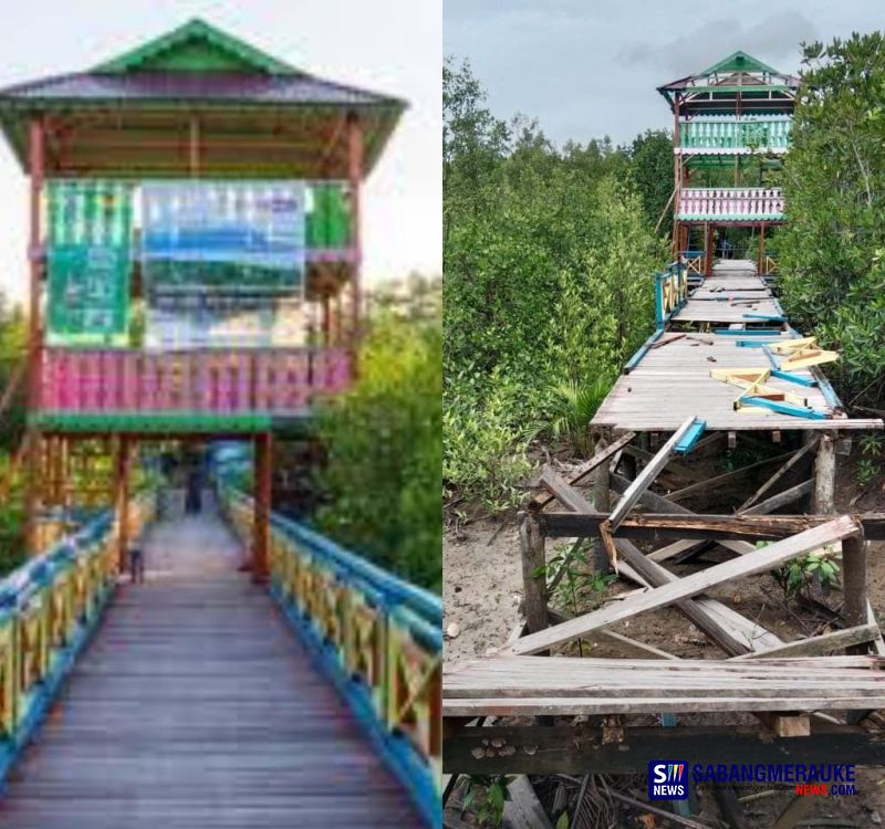 Jembatan Pelangi Mangrove Selatpanjang Memprihatinkan, Padahal Sempat Jadi Ikon Meranti dan Terima Penghargaan Nasional