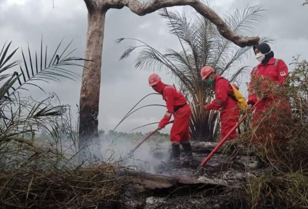 159 Desa di Riau Rawan Karhutla, Petugas Berjibaku Padamkan Api di Teluk Bano Rohil