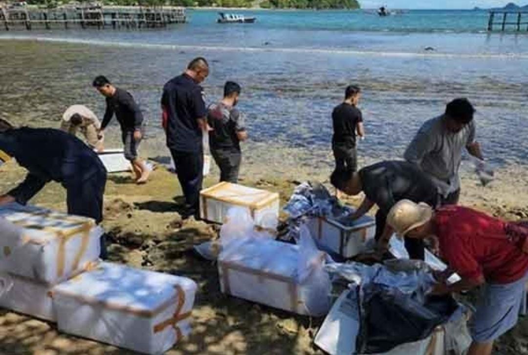 70 Ribu Benih Lobster Senilai Rp 14 Miliar Diamankan Polres Indragiri Hilir, Pemiliknya Kabur Gagal Diselundupkan ke Luar Negeri