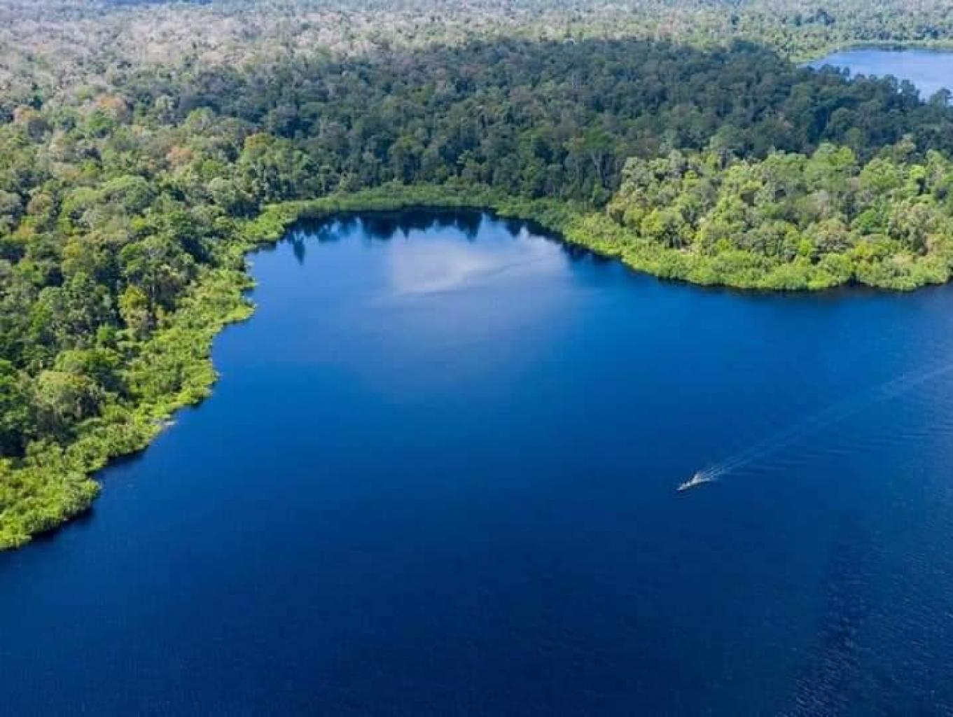 Danau Rawa Gambut Terbesar Kedua di Dunia Ada di Riau, Ini Dia Lokasinya