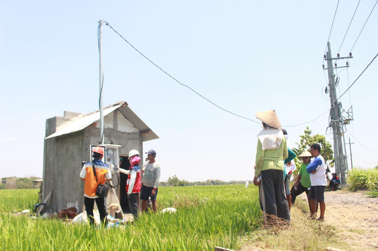 Pertanian Modern Berbasis Listrik Kian Berkembang, Program Electrifying Agriculture PLN Tumbuh 22,28 Persen