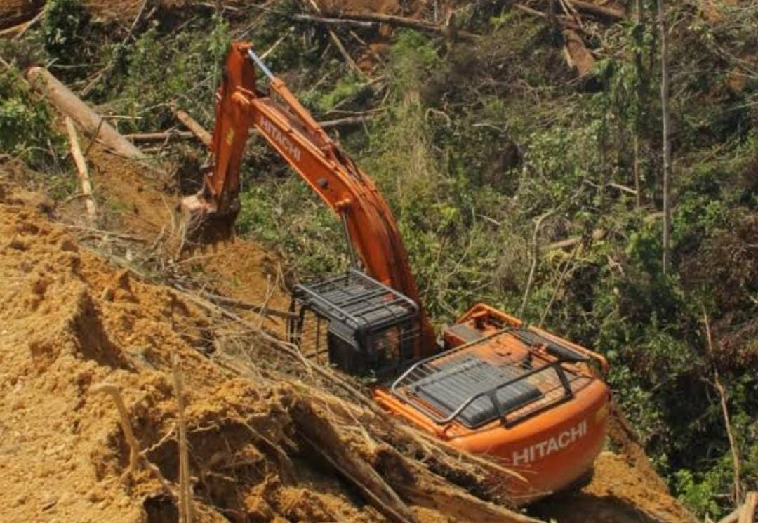 DLHK Ancam Panggil Paksa Pemilik 3 Alat Berat yang Ditangkap di Kawasan Hutan Gunung Sahilan Kampar