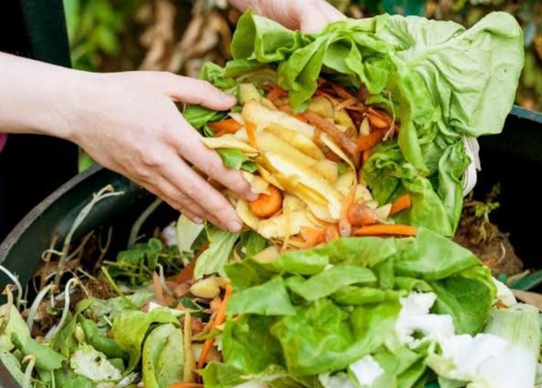 Mubazir! Makanan Rakyat Indonesia Terbuang Sia-sia Rp 551 Triliun Tiap Tahun