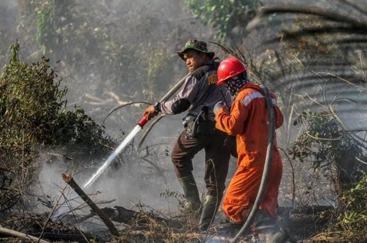 Karhutla di Riau Belum Tuntas, Kok Bisa?