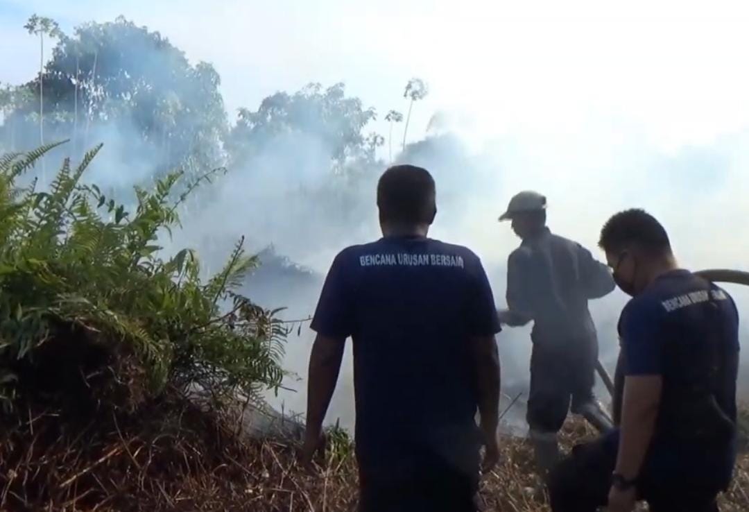 Kebakaran Lahan di Dharma Bakti Ujung Pekanbaru Nyaris Jilat Satu Rumah Warga, Anggiat Marpaung Sampai Merasa Jantungan