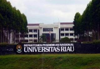 Diduga Rem Blong, Mahasiswa KKN Universitas Riau Masuk Jurang di Kampar