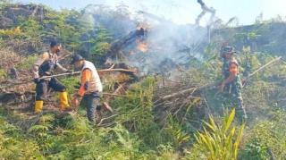 Polisi Segel Lokasi Karhutla di Rokan Hulu, Sengaja Dibakar untuk Buka Lahan