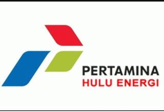 IPO Pertamina Hulu Energi yang Ditolak Anggota DPR Batal Dilakukan, Ini Penyebabnya