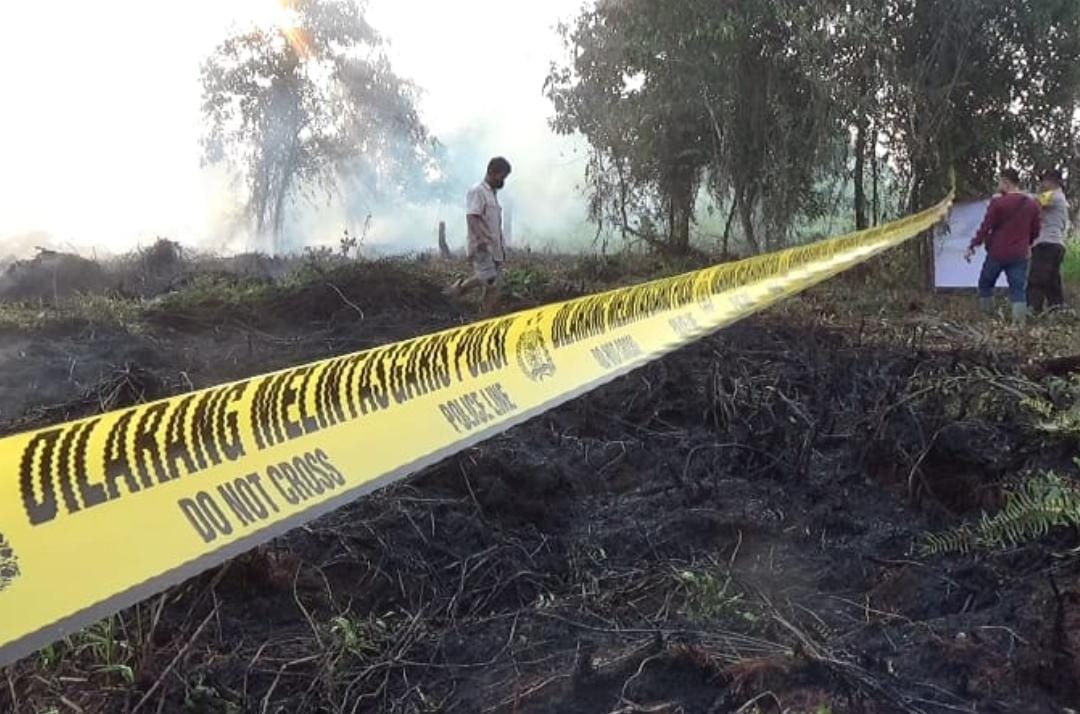 Riau Siaga Darurat Karhutla Sejak Februari, Tapi 990 Hektar Lahan Sudah Terbakar