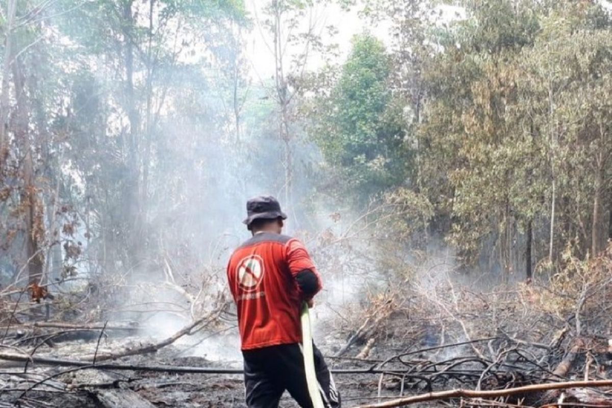 Lahan Terbakar di Kampar, Polisi Lakukan Penyelidikan