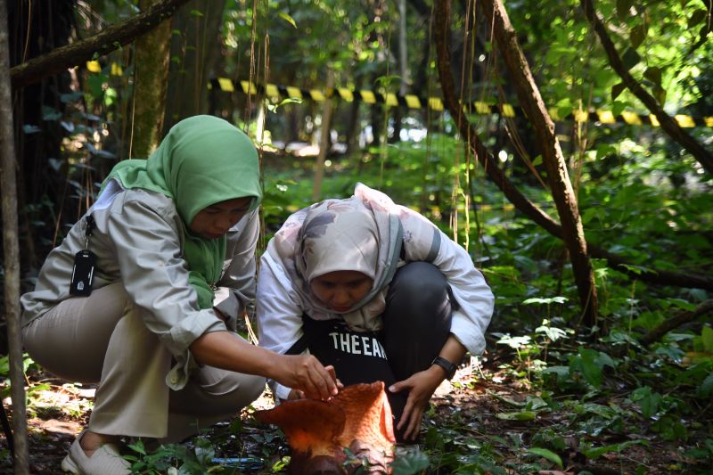 Kebun Raya Terbesar di Riau Segera Dibangun, Kolaborasi Universitas Pahlawan dengan BRIN 