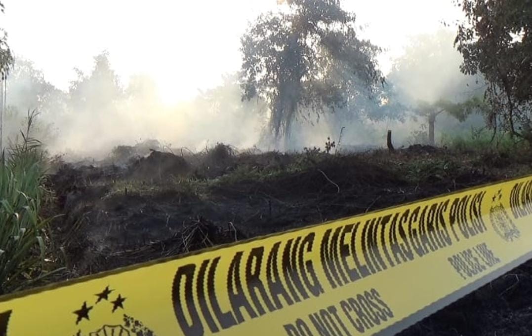 Riau Masuki Masa Petaka Panas Mendidih, Ini Akibat Buruknya