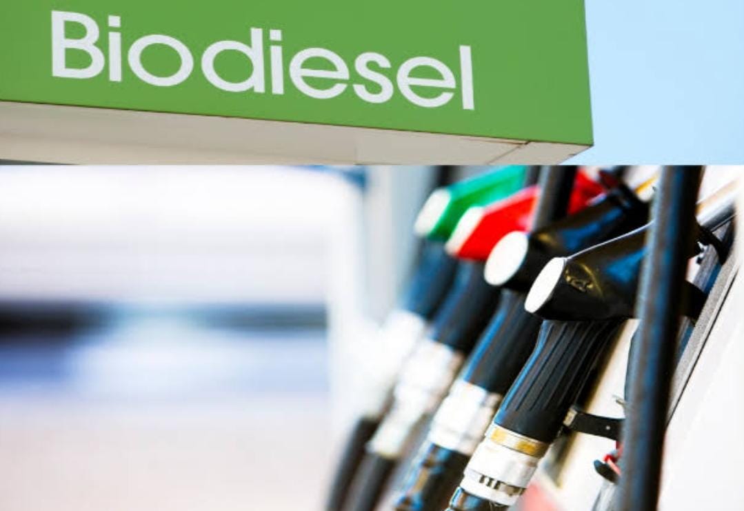 Ini Daftar Perusahaan Kecipratan Dana Sawit Rp 4 Triliun Program Biodiesel B35, Sebagian Ada di Riau