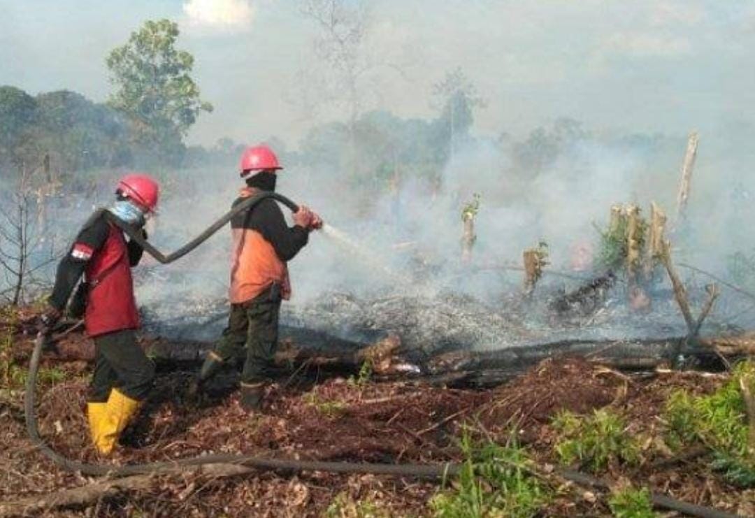 Makin Parah! 50 Hektar Lahan Gambut Terbakar di Indragiri Hulu, Petugas Kewalahan Asap Tebal