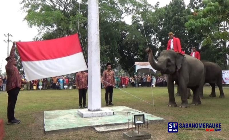 3 Ekor Gajah Jadi Pengibar Bendera Merah Putih di Riau, Ini Penampakannya