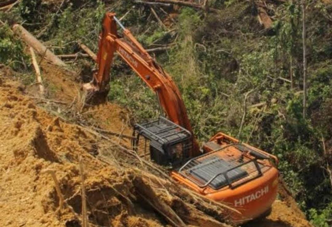 11 Orang Diperiksa Kasus Perambahan Kelompok Hutan Tesso Nilo di Kampar, Status Naik ke Penyidikan