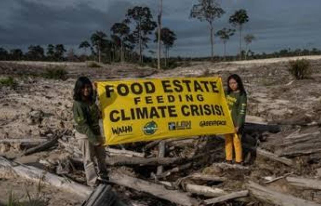 Dituding Sekjen PDIP Hasto Proyek Food Estate Kejahatan Lingkungan, Ini Respon Jokowi