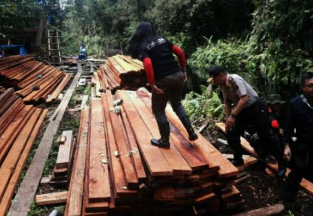 Polda Riau Tangani 10 Kasus Kehutanan dan Ilegal Logging, 16 Orang Jadi Tersangka