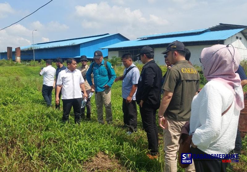 Kasus Pencemaran Limbah Pabrik Sawit PT SIPP di Bengkalis, Direktur Perusahaan Dituntut 7 Tahun Penjara