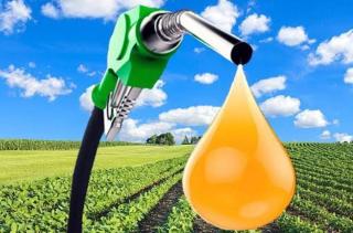 Inilah 4 Konglomerat Penguasa Biodiesel Indonesia, Ada Beroperasi di Riau