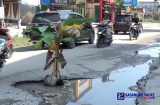 Protes Jalan Paus Pekanbaru Rusak Parah, Warga Tanam Pohon Pisang 