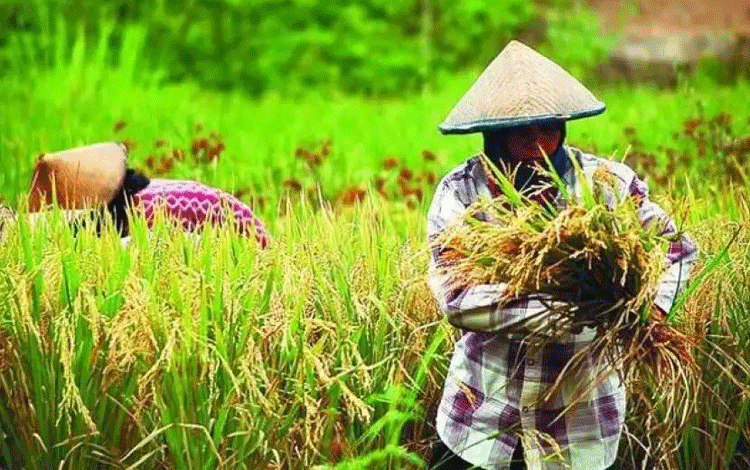 NTP dan NTUP Provinsi Riau Naik