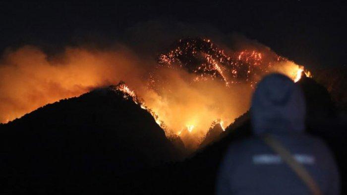Lereng Gunung Ijen Dilanda Kebakaran, Kawah Ijen Dalam Status Siaga