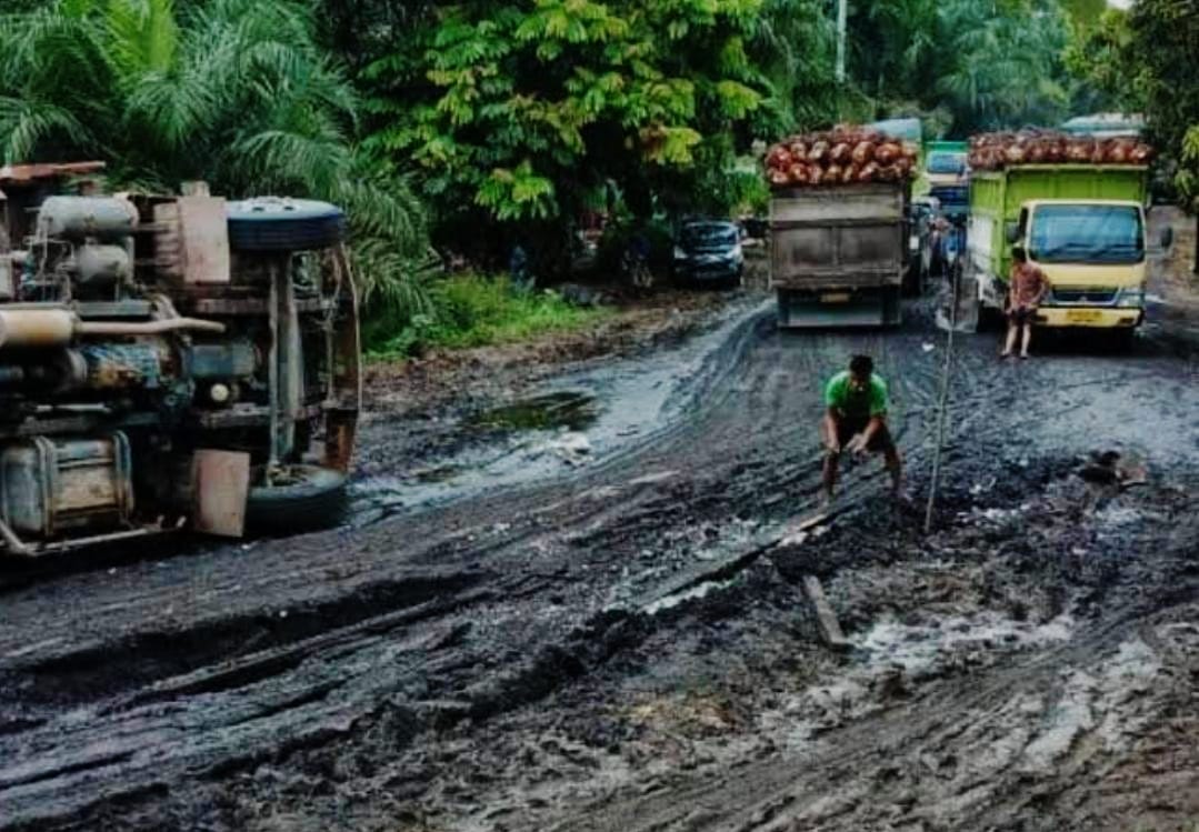 Miliki Kebun Sawit 2,86 Juta Hektare, Riau Cuma Dapat Total Rp 392 Miliar DBH Kelapa Sawit, Sebanding dengan Kerusakan Infrastruktur dan Ekologi?