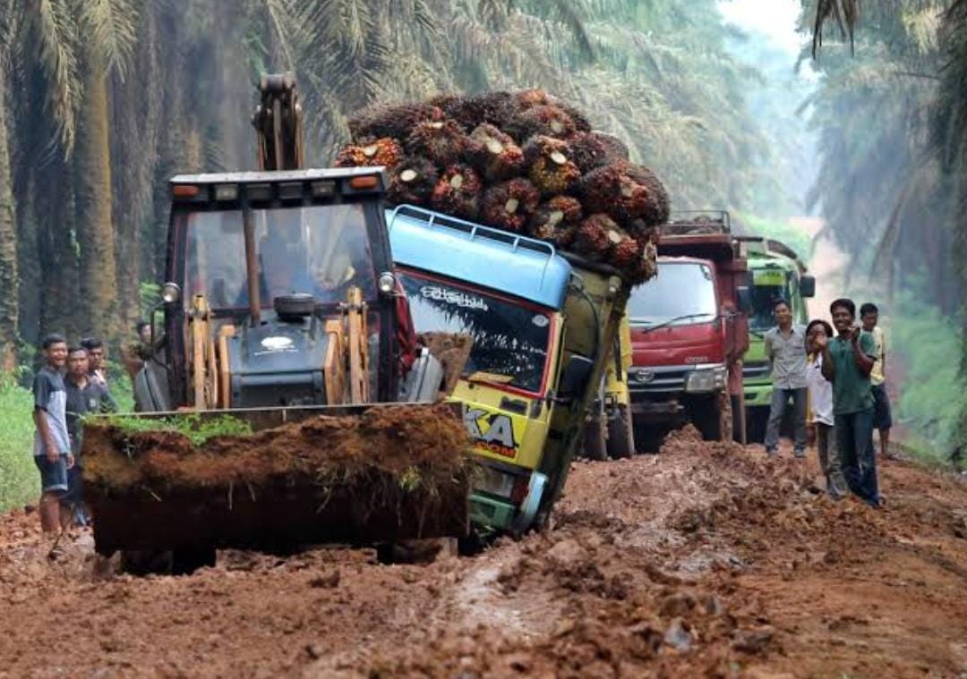 Riau Kecipratan Rp 392 Miliar DBH Sawit: Jangan Dipakai Kegiatan Seremonial Tebar Pesona, Menkeu Sri Mulyani Tegaskan Wajib Digunakan Untuk Hal Ini