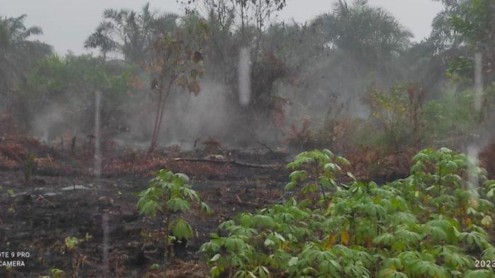 Kebakaran Hutan Lahan Kian Marak, Terdeteksi 2 Lokasi di Rimbo Panjang Kampar