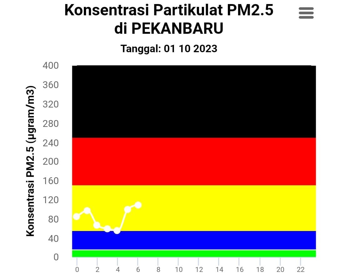 Pakai Masker! Udara di Kota Pekanbaru Pagi Ini Tidak Sehat