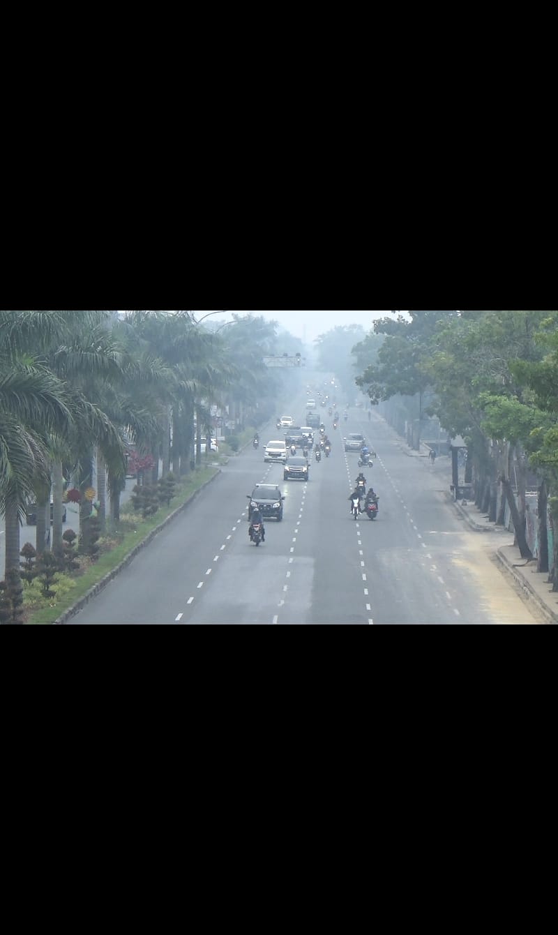 Bencana Kabut Asap Kembali Melanda Riau, Ini Kata Dokter Paru Indonesia