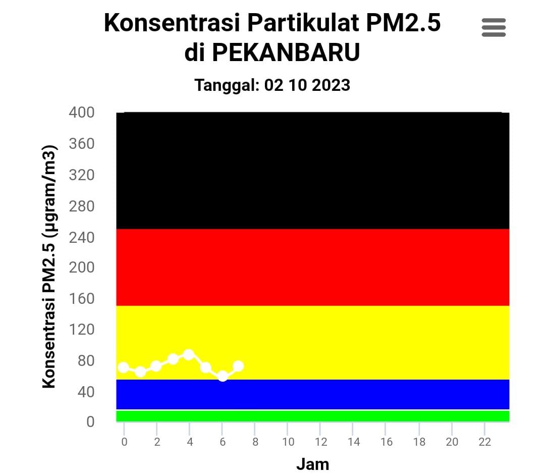 Kondisi Udara Pekanbaru Tak Kunjung Membaik, Pagi Ini Masih di Level Tak Sehat