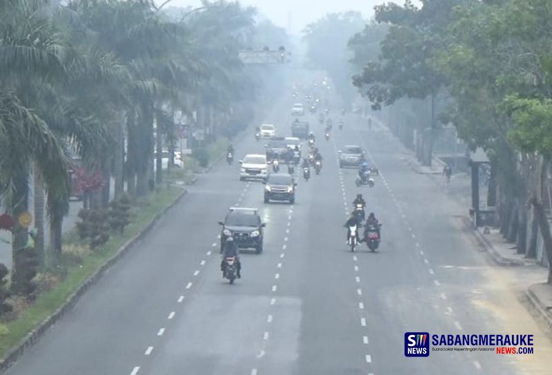 Rakyat Terpaksa Hirup Asap Karhutla, Timpang dengan Uang Receh DBH Kehutanan dan Kelapa Sawit Diterima Riau, Ini Angkanya