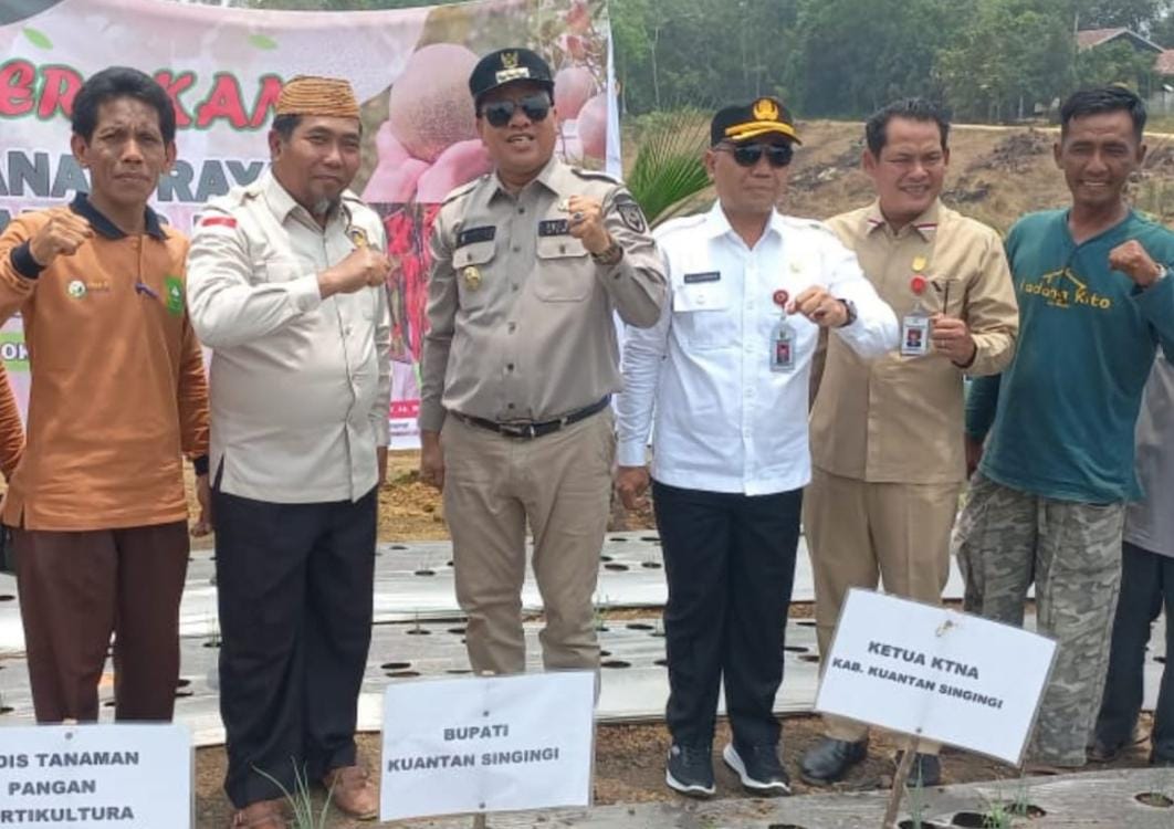 Bupati Suhardiman Semangat Tanam Bibit Cabai dan Melon di Aksi Tanam Raya KTNA Kuansing